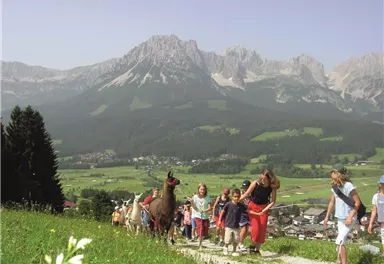 Eine Gruppe von Kindern und Erwachsenen wandert mit Lamas in den Bergen. Die Landschaft ist grün mit majestätischen Bergen im Hintergrund.