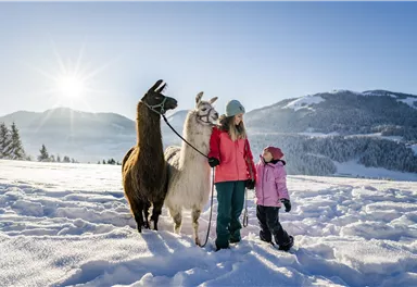 Ein Mädchen und ein jüngeres Kind stehen im Schnee und halten zwei Lamas an der Leine. Im Hintergrund sind verschneite Berge und ein sonniger, klarer Himmel zu sehen.