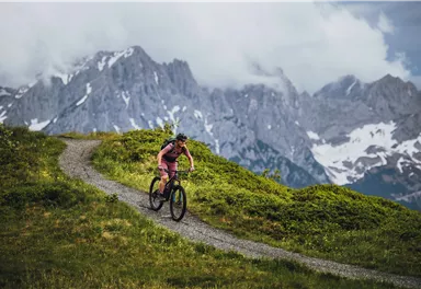 Ein Radfahrer fährt auf einem schmalen Weg durch eine grüne Landschaft. Im Hintergrund sind majestätische Berge mit Schneebedeckung zu sehen.