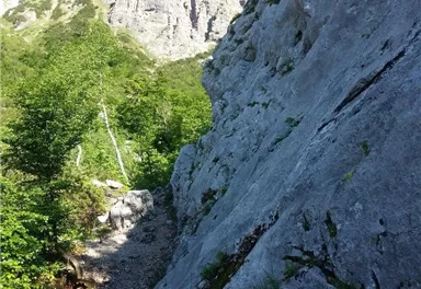 Eine steile Felswand umgeben von grünen Bäumen. Im Hintergrund sind hohe Berge unter einem klaren, blauen Himmel zu sehen.