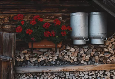 Eine rustikale Wand mit Holzscheiten und zwei silbernen Milchkannen. Darunter blühen rote Geranien in einem Blumenkasten.