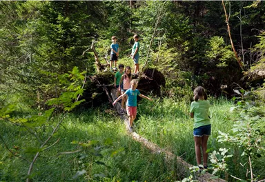 Eine Gruppe von Kindern spielt im Wald und balanciert auf einem Baumstamm. Die Umgebung ist grün und von Bäumen umgeben.