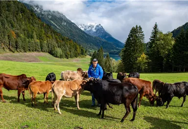 Ein Mann steht in einer grünen Wiese umgeben von Kühen. Im Hintergrund sind Berge und Wälder sichtbar.