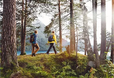 Zwei Wanderer spazieren durch einen Wald mit hohen Bäumen. Im Hintergrund ist ein schöner See zu sehen.
