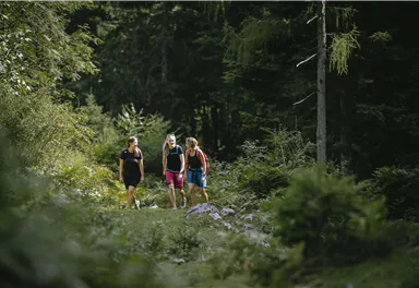 Drei Frauen wandern auf einem schmalen Pfad durch einen grünen Wald. Umgeben von Bäumen und Pflanzen genießen sie die Natur.