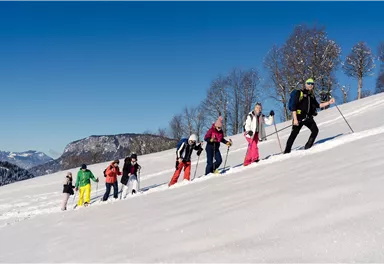 Eine Gruppe von Personen wandert mit Schneeschuhen über einen schneebedeckten Hang. Im Hintergrund sind Bäume und Berge unter einem klaren blauen Himmel zu sehen.