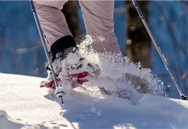 Eine Person beim Skilanglauf im Schnee. Die Skier hinterlassen Spuren im frischen Pulverschnee.