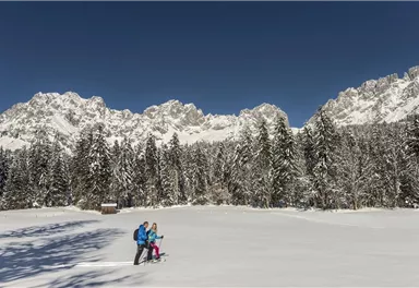 Ein Paar wandert durch eine verschneite Landschaft mit hohen Tannen. Im Hintergrund sind majestätische Berge unter einem klaren blauen Himmel sichtbar.