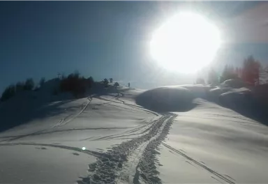 Eine schneebedeckte Landschaft mit leichten Hügeln und Spuren im Schnee. Die Sonne strahlt hell am klaren Himmel.