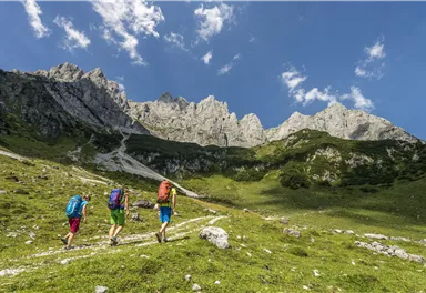 Drei Wanderer gehen einen schmalen Pfad in einer grünen Berglandschaft. Im Hintergrund sind beeindruckende Felsen und ein blauer Himmel mit ein paar Wolken zu sehen.