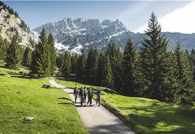 Eine Gruppe von Wanderern geht auf einem Waldweg. Im Hintergrund sind majestätische Berge und grüne Tannen zu sehen.