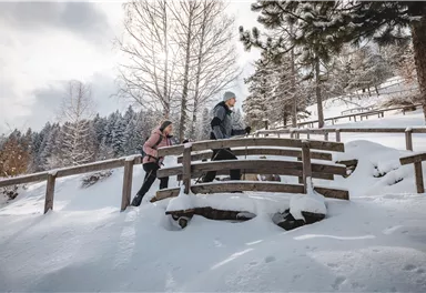 Zwei Personen wandern durch eine verschneite Landschaft und überqueren eine Holzbrücke. Um sie herum sind schneebedeckte Bäume und die Sonne scheint durch die Wolken.