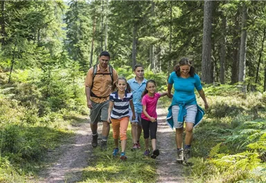 Eine Familie wandert auf einem Waldweg. Der Weg ist von grünen Pflanzen und hohen Bäumen umgeben.