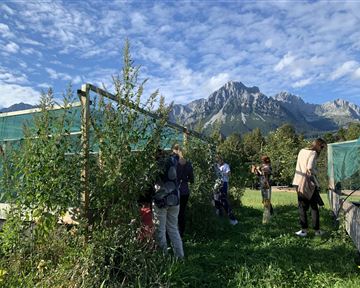 Eine Gruppe von Menschen steht in einem Garten mit hohen Pflanzen. Im Hintergrund sind majestätische Berge und ein blauer Himmel zu sehen.