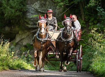 Zwei Pferde ziehen eine Kutsche auf einem schmalen Weg durch die Natur. Die Fahrer tragen traditionelle Kleidung und der Hintergrund ist grün und üppig.
