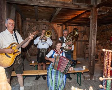 Eine Musikgruppe spielt traditionelle Instrumente in einer rustikalen Umgebung. Die Atmosphäre ist gemütlich und einladend.