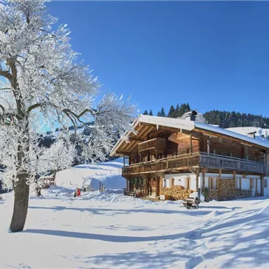 A cozy wooden house in the snow, surrounded by frosty trees. The blue sky creates a clear winter atmosphere.