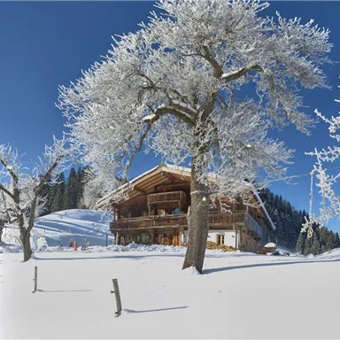 A snowy landscape with a wooden house and wintry trees. The clear blue sky radiates the sun.