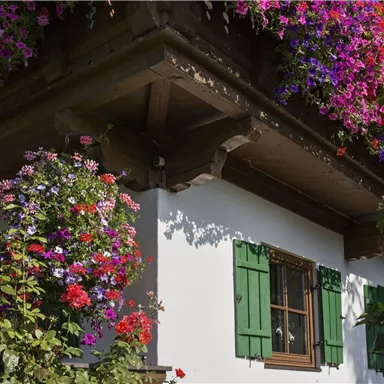 Ein charmantes Haus mit weißer Fassade und grünen Fensterläden. Bunte Blumen schmücken die Fassade und verleihen dem Bild eine fröhliche Stimmung.