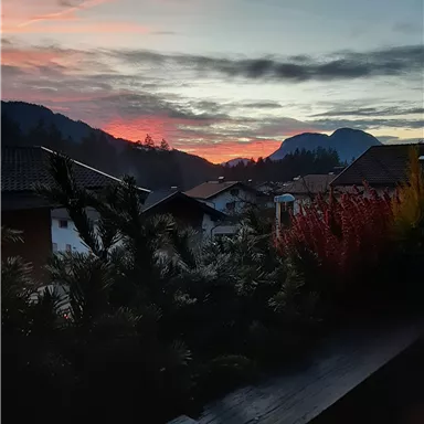 Ein schöner Sonnenuntergang hinter Bergen mit bunten Wolken und grünen Pflanzen im Vordergrund. Die Atmosphäre ist ruhig und malerisch.