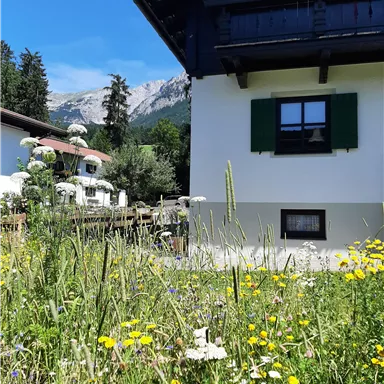 Ein schönes Haus neben einer bunten Blumenwiese. Im Hintergrund sind Berge und blauer Himmel zu sehen.