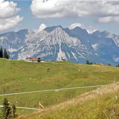 A green landscape with gentle hills and a few trees. In the background, majestic mountains rise under a partly cloudy sky.