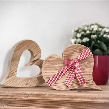 Wooden hearts on a table, one with a red checked gift ribbon. In the background, there is a pot with green plants.