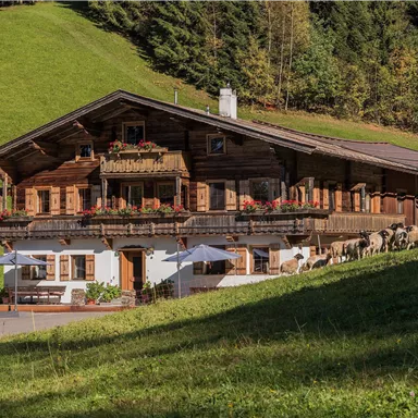 Ein traditionelles Chalet in den Bergen, umgeben von grünen Wiesen. Auf dem Balkon blühen Blumen, und Kühe grasen ruhig in der Nähe.