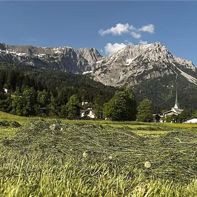 Eine malerische Berglandschaft mit grünen Wiesen und majestätischen Bergen im Hintergrund. Kleine Häuser und Bäume ergänzen die idyllische Szenerie.