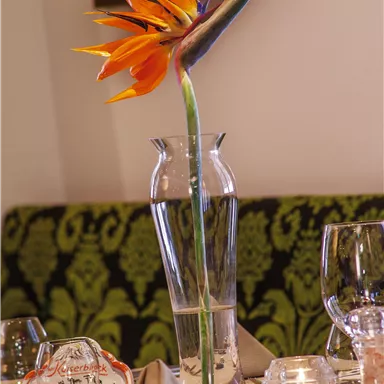 An elegant table with a clear vase and an exotic flower. In the background, stylish glasses and a decorative wall are visible.