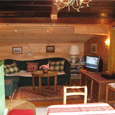 Ein gemütliches Wohnzimmer mit Holzwänden und einem Sofa. Auf dem Tisch steht eine Blumenvase und ein Fernseher ist sichtbar.