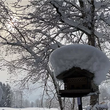 Ein Vogelhaus steht unter einer dicken Schneeschicht. Im Hintergrund sind schneebedeckte Bäume und ein heller Himmel zu sehen.