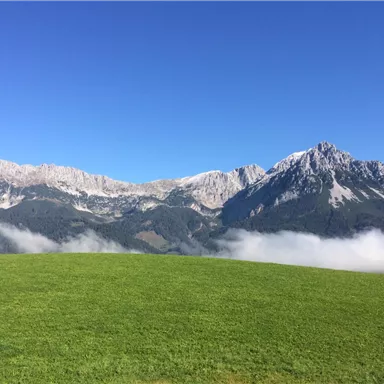 Eine grüne Wiese mit majestätischen Bergen im Hintergrund. Der Himmel ist klar und blau, während weiße Wolken die Landschaft umrahmen.