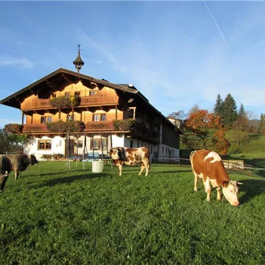 Ein traditionelles bayerisches Bauernhaus umgeben von grünen Wiesen und Kühen. Der Himmel ist klar und die Natur ist friedlich.