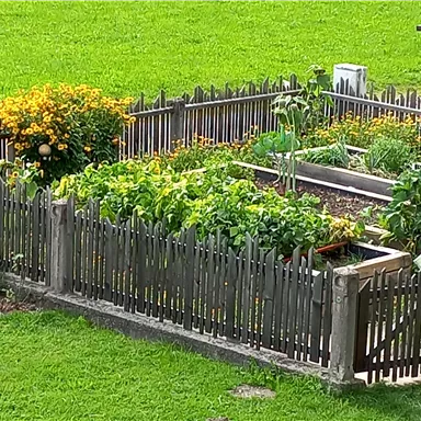 A beautiful vegetable garden with many plants and colorful flowers. The garden is surrounded by a wooden fence and is situated in a green meadow.