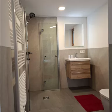 Ein modernes Badezimmer mit einer Dusche und einem Waschbecken. Rote Teppiche sorgen für einen farblichen Akzent.