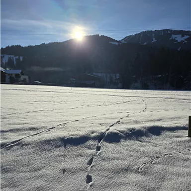 Eine verschneite Landschaft mit Fußabdrücken im Schnee. Die Sonne scheint und der Himmel ist klar.