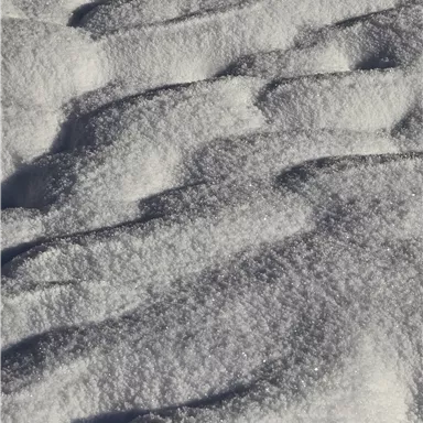Eine weite Schneelandschaft mit sanften Wellen und glitzerndem Schnee. Der Himmel ist klar und die Sonne scheint sanft auf die Schneeoberfläche.