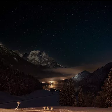 A winter mountain landscape at night with snow-covered trees and majestic peaks. The sky is full of stars and the surroundings are gently illuminated.