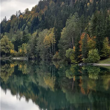 Hintersteinersee