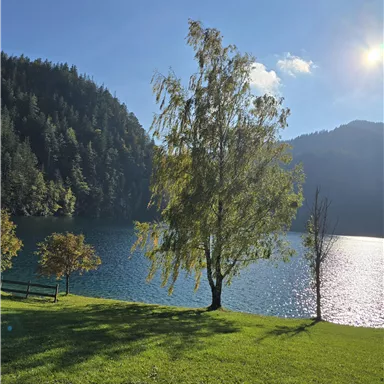 Hintersteinersee