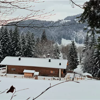 Ein Holzhaus in einer verschneiten Landschaft mit hohen, grünen Tannen. Im Hintergrund sind schneebedeckte Berge zu sehen.