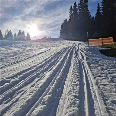 Eine verschneite Piste mit Skitrassen und Bäumen im Hintergrund. Die Sonne scheint durch den klaren Himmel.