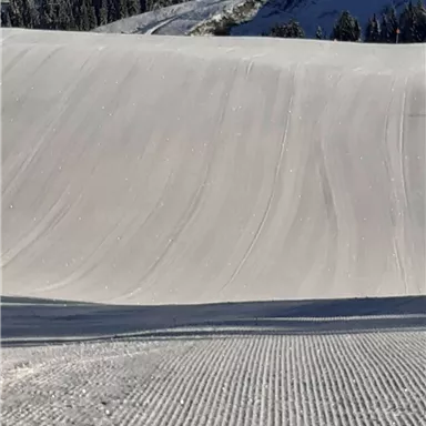 Eine schneebedeckte Landschaft mit sanften Hügeln und einem klaren blauen Himmel. Im Hintergrund sind Bäume zu sehen.