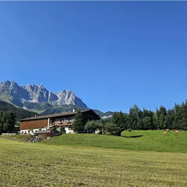 Eine malerische Landschaft mit einem Bauernhof, umgeben von Wiesen und Wäldern. Im Hintergrund erheben sich majestätische Berge unter einem klaren blauen Himmel.