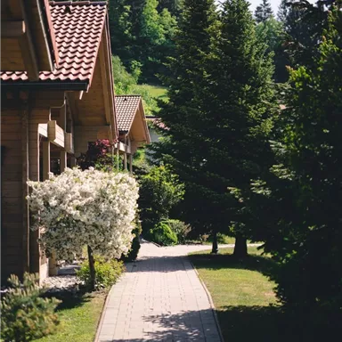 Ein schöner Weg, umgeben von grünen Bäumen und blühenden Pflanzen. Die Häuser mit roten Dächern verleihen der Szene einen einladenden Charakter.
