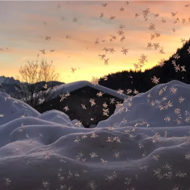 Eine winterliche Szene mit fallendem Schnee vor einem Sonnenuntergang. Die schneebedeckten Hügel und die Silhouette der Berge schaffen eine malerische Atmosphäre.