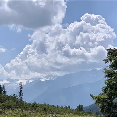 Eine malerische Berglandschaft mit hohen Bergen und dichten Wäldern. Der Himmel ist blau mit großen, weißen Wolken.