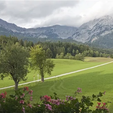 Eine malerische Landschaft mit grünen Wiesen und Bergen im Hintergrund. Blühende Blumen sind im Vordergrund sichtbar.