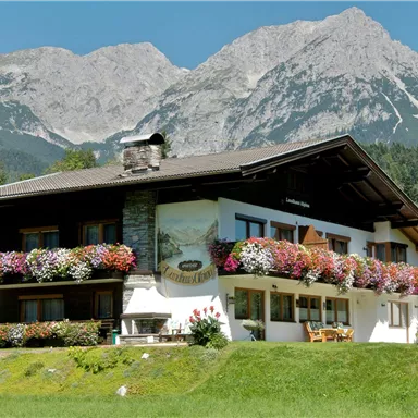 A picturesque house with colorful flower windows in a green environment. In the background, an impressive mountain range rises under a clear sky.